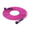 Shengwei 400G/800G Data Center OM4 MPO Fiber Optic Patch Cable