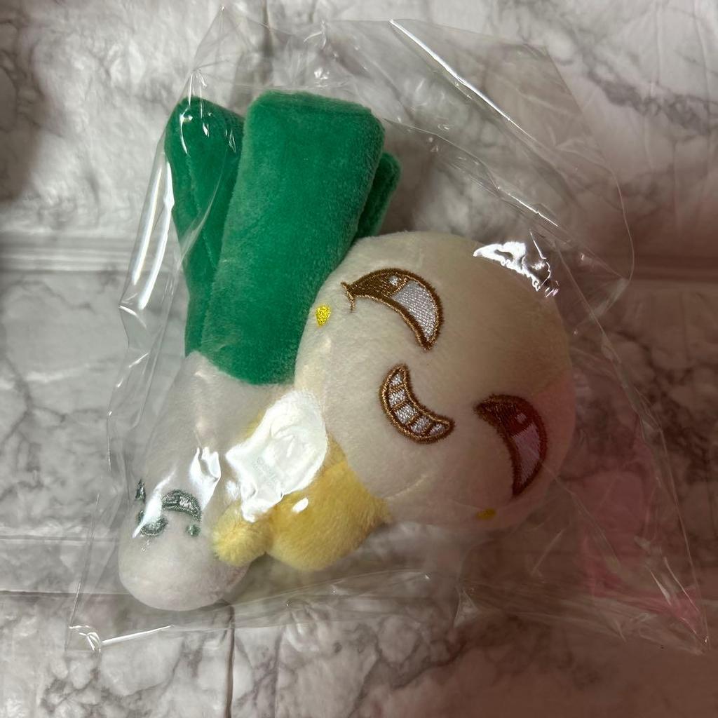 [USED] NCT Dream Jungwoo Plush Magnetic Mini Doll Green Onion