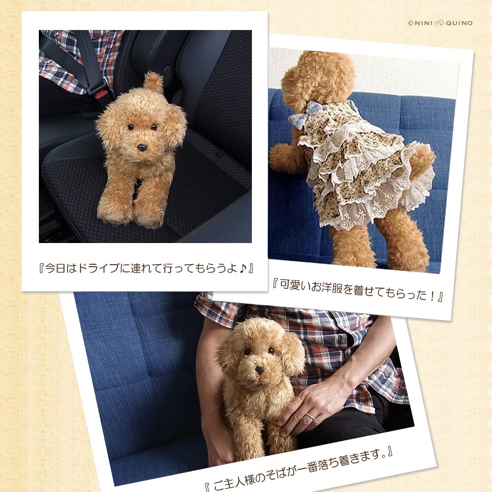 Плюшевая игрушка Ниниан и Кино Реалистичный той-пудель Свободно Примерно 33см Реалистичная домашняя собака, (Абрикос), Подвижный, Длинный,