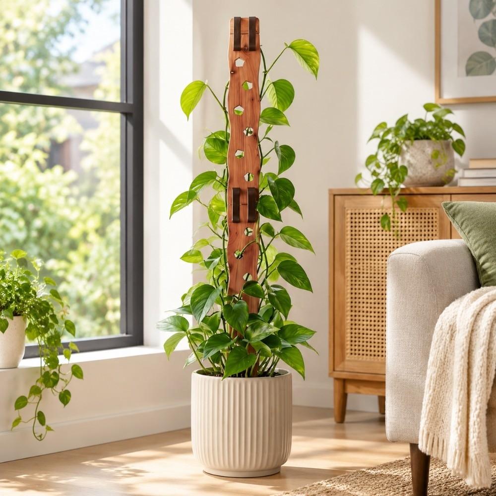 Hollow Out Plant Climbing Trellis Wooden Plant Stand Plant Support Frame Indoor