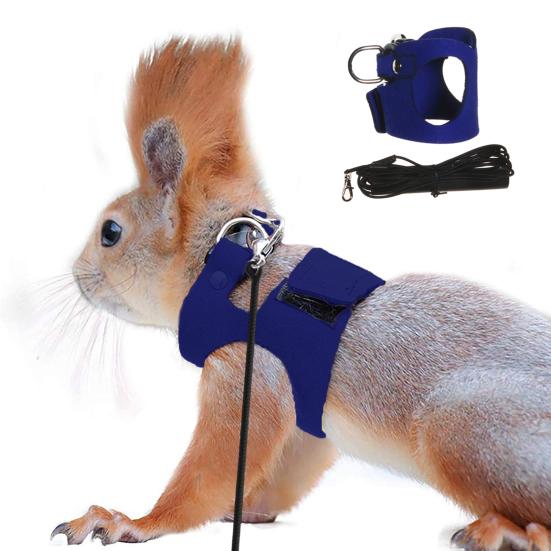 Yousheng Bearded Dragon Harness And Leash Set Adjustable Lizard Harness with Nylon Rope Small Animal Traction Rope Accessories for Bearded Dragon