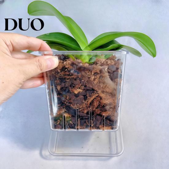 Clear Gardening Pot with Holes Orchid Planter Saucer, Square Plant Plastic Drainage Holes, Transparent Flowerpot for Phalaenopsis, Seedings Flower