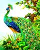 5D DIY Diamond Embroidery Full Set Cross Stitch Peacock Full Square Round Diamond Painting Animal Picture Of Rhinestone Decor For Home