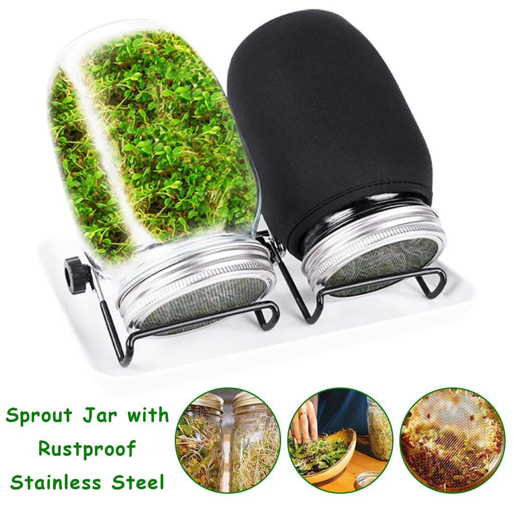 Seed Sprouting Jar Kit with 2 Wide Mouth Mason Jars Durable Bean Sprouts Growing Kit with Stainless Steel Screen Sprout Lids