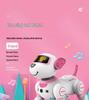 BG1533 Stunt Robot Dog: Electric Remote-Control Pet with Gesture Sensing and Somersault Capabilities.