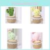 Potted Cute Cactus Plant With Lace Decoration Succulent Plush Toy Pendant