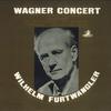 LP Record FURTWÄNGLER - Furtwangler Wagner Concert AB8103 ANGEL Japan Classical Used