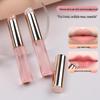 Transparent Silicone Lip Brush with Lid - Portable Lipstick Smudge and Balm Tool
