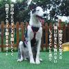 COZENTA Dog Reduces Reflective Suitable for Nighttime Medium to Large Dogs Harness, Non-Slip, Wearable, Anti-Pulling, Strain, Adjustable, Material,