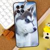 Animal Husky puppy Case For Samsung Galaxy M15 M35 M55 M33 M21 M31 M16 M36 M56 M53 M13 M12 M32 M52 M14 M34 M54