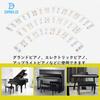 Dreld Piano Sticker 88 Key Keyboard Sticker Keyboard Sticker Silicone Sheet for Beginners Piano Note Guide for Practice Musical Note Guide Easy To