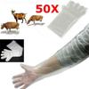 50Pcs Plastic Long Arm Glove Disposable Farm Glove Non-toxic Plastic Glove  Artificial Insemination