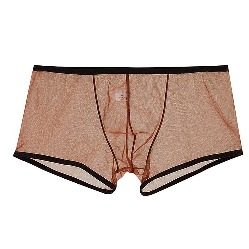 Men Transparent Low Rise Quick-Dry Boxer Briefs Ultra-thin See Through Mesh Men Underpants Sexy