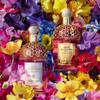 Guerlain - Eau de Toilette Aqua Allegoria Florabloom 125 ml - 