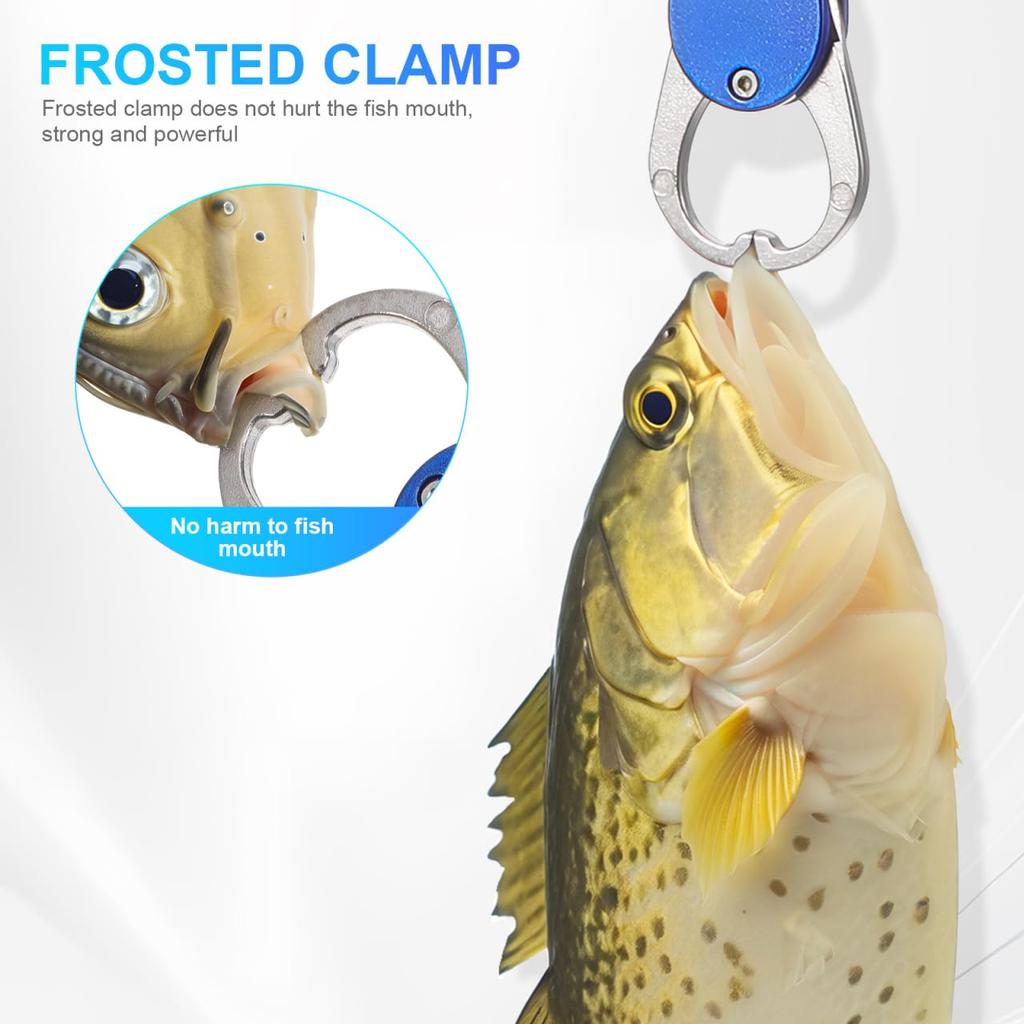 LEDMOMO Fish Pliers, Fish Grip, Weighing Range 15kg, Fishing Pliers, Fishing Scale, Weighing Function, Multifunctional, Ultra Lightweight, with Rope,