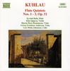 CD KUHLAU, RAFN, SJOGREN, RASMUSSEN; S - Кюлау:Флейтовые квинтеты.1  8553303 Naxos 1995 Европа Классика Б/у