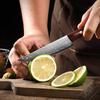 Paring Knife 5.5 Inch Damascus Steel Core Ultra-Sharp Damascus Utility Knife Steak Knife Full Tang Pro Peeling Knife