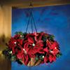 New Christmas Hanging Basket Wreath LED Lighting Hanging Basket Simulation Flower Decoration Can Be Detachable Christmas Decor