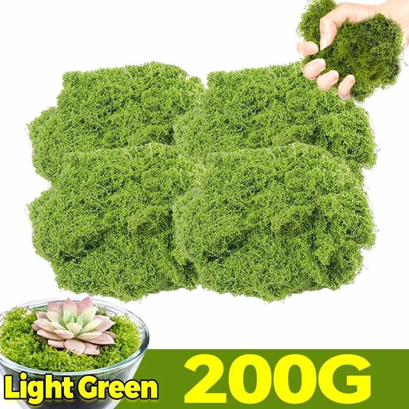300/30g Artificial Green Moss Eternal Life Moss Grass Mini Landscape Fake Grass DIY Craft Faux Preserved Plant Moss Garden Decor