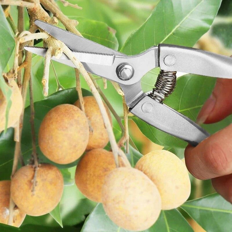Ножницы из нержавеющей стали, садовые инструменты, ножницы из цинкового сплава, ножницы для фруктовых деревьев, грубые ветки
