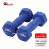 Frosted Dipped Dumbbells