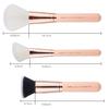 Набор профессиональных кистей для макияжа, 6 штук (Peach Puff/Rose Gold)