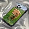 Cute Highland Cow Phone Case For iPhone 16,15,14,13,12,11,Pro,Max,Plus,X,XS,SE4,E,Mini,Soft Black Case
