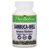 Sambuca-Well, European Elderberry, 250 mg, 60 Vegetarian Capsules