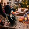 Pearl Necklace Broom Halloween Witch Goose Outfit Porch Goose Witch Scene Prop  Halloween Party