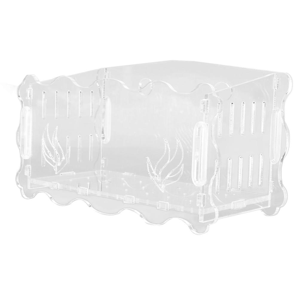   Plant Cup Acrylic Transparent Permeable Hole   Safe   Plant Pot with Suction Cup for Fish  