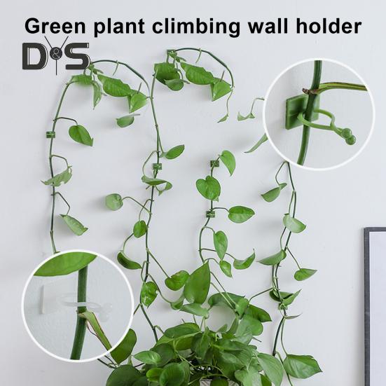 Зажим для крепления растений, настенный зажим для фиксации лозы, самоклеящийся крючок, невидимые зажимы для поддержки растений, вьющиеся растения для помещений и улицы