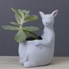 Cute Kangaroo Flower Pot Ceramics Succulent Pot Planter Home Decor Desktop Ornaments Garden Decoration Bonsai Plant Pot