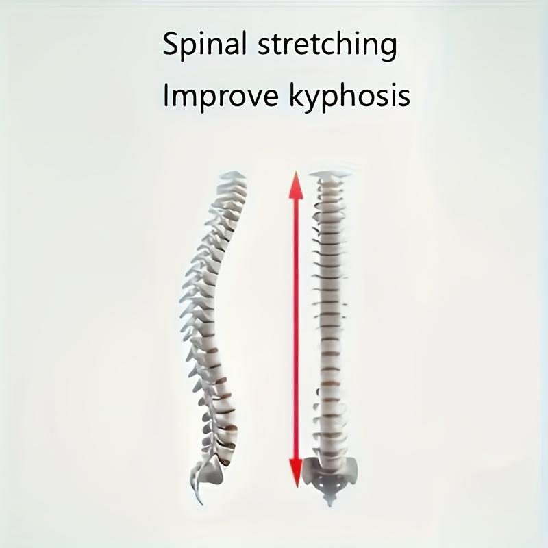 Регулируемые гимнастические кольца из прочного материала PA, идеально подходят для тренировки хвата, легко устанавливаются, выдерживают до 300,0 кг