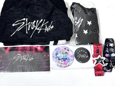[Б/У] Stray Kids 5-STAR Dome Tour Upgrade