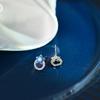 Blue Star Earrings Small and Cute Women's Earrings Light Luxury High-end Versatile Earrings