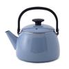 Fuji Enamel Wide Mouth Kettle 2.5L (Serenity Blue)