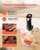 Sous Vide Precision Cooker, 1100W Sous-Vide Cooking Machine, WIFI Immersion Circulator with 10 Preset Recipes, LCD Touchscreen, Fast-Heating, Accurate