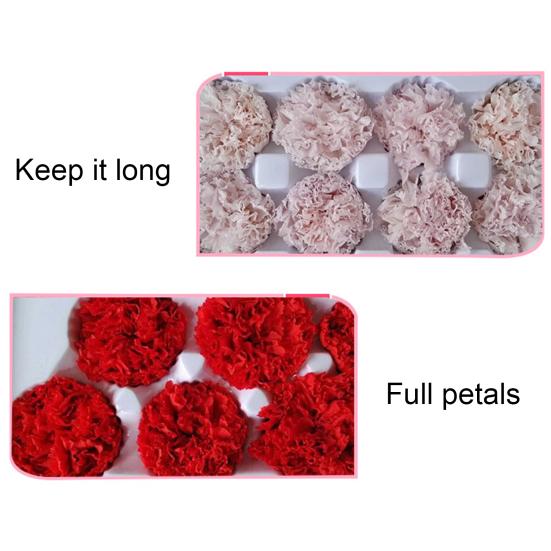 8Pcs Preserved Flower Head Carnation Decorative Dried Flower Mothers Day Gift Box Flower for Mother