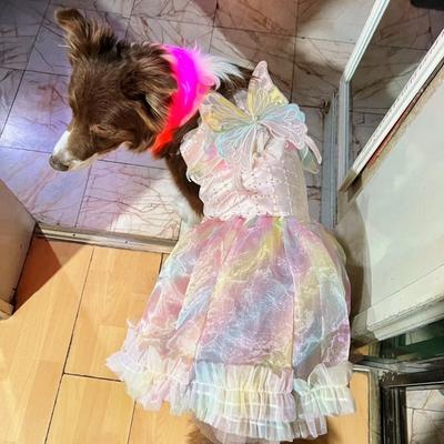 Одежда для средних и крупных собак очень большая летнее тонкое летнее платье большая собака самоед золотистый ретривер Аляска платье принцессы