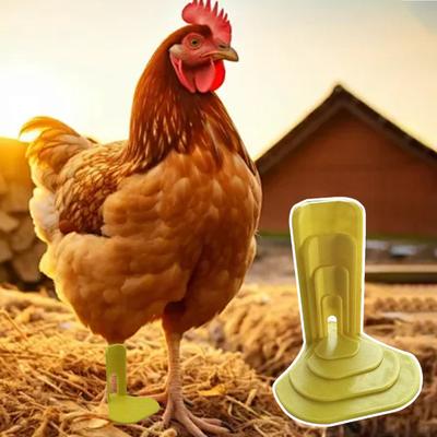 4 шт./компл. Распорка для цыплят с разведенными ногами, хомут, шина, предметы первой помощи для птицы, шина для лап уток для птенцов, гусят и молодых птиц