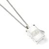 Fantastic beasts sterling silver Newts case locket with Nifler Pendant