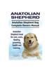 Книга Anatolian Shepherd. Anatolian Shepherd Dog Complete Owners Manual. Anatolian Shepherd Book for Care, Costs, Feeding, Grooming, Health and Training.