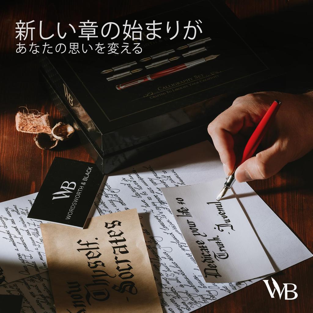 Чернила для каллиграфии Wordsworth Black, подарочные, 6 шт., сменные стержни для чернил, 6 шт., набор для письма Premium Smooth, флакон, картриджи, конвертер, перья,