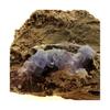 Pierres et Minéraux. Fluorite. 354.5 ct. Mont-Roc, Tarn, France..