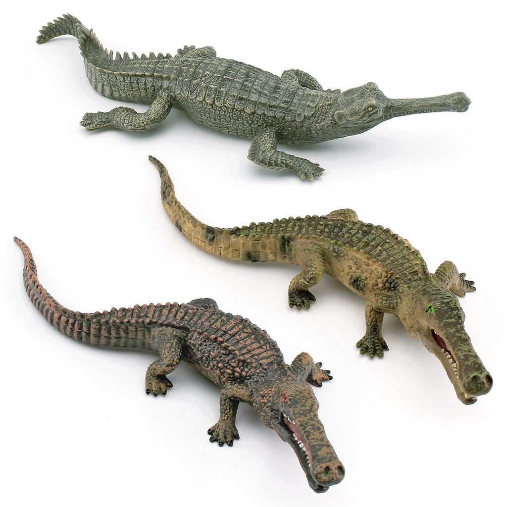 Crocodile Models Lifelike In Pvc Featuring Long Snouted And Emperor Crocodile Static Displays