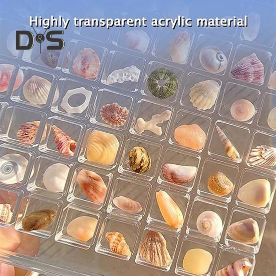Acrylic Magnetic Seashell Display Box 36/64/100 Grids Square Small Crafts Natural Stone Nail Art Bead Charm Jewelry Show Organizer Container Case