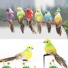12Pcs Beautiful Colorful Simulation Foam Bird Decor Garden Plants Decoration Ornament
