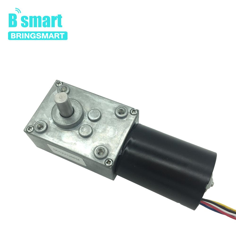 Bringsmart Brushless DC Worm Gear Motor 5840-3650 12V 24V BLDC Self-locking Braking Gearbox 8-470rpm Electric Motor Customized