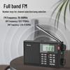 Newmine T-6607 Portable Digital FM Radio