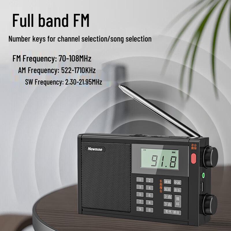 Newmine T-6607 Portable Digital FM Radio